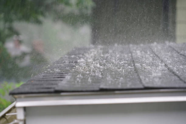 Best Roof Ventilation Installation  in Arthurtown, SC