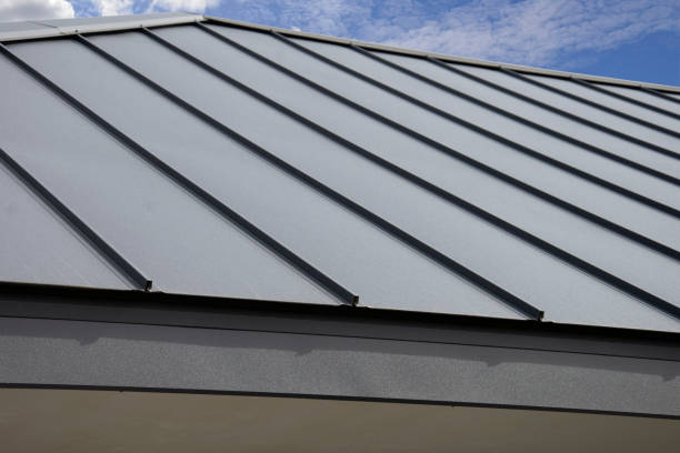Best Skylight Installation and Repair  in Arthurtown, SC